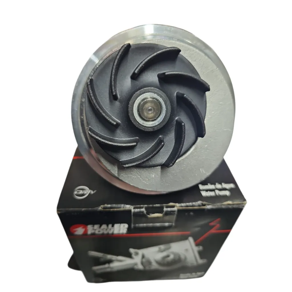 WhatsApp Image 2025-12-23 at 5.56.21 PM.webp