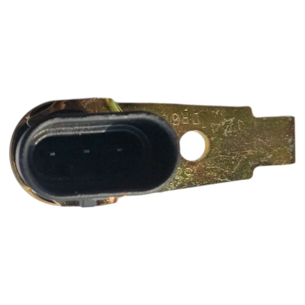 WhatsApp Image 2025-12-24 at 10.13.59 AM.webp