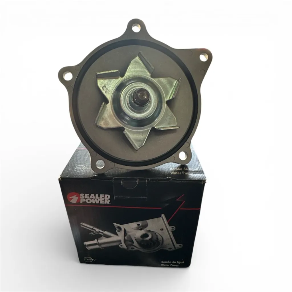 WhatsApp Image 2026-01-07 at 11.08.01 AM.webp