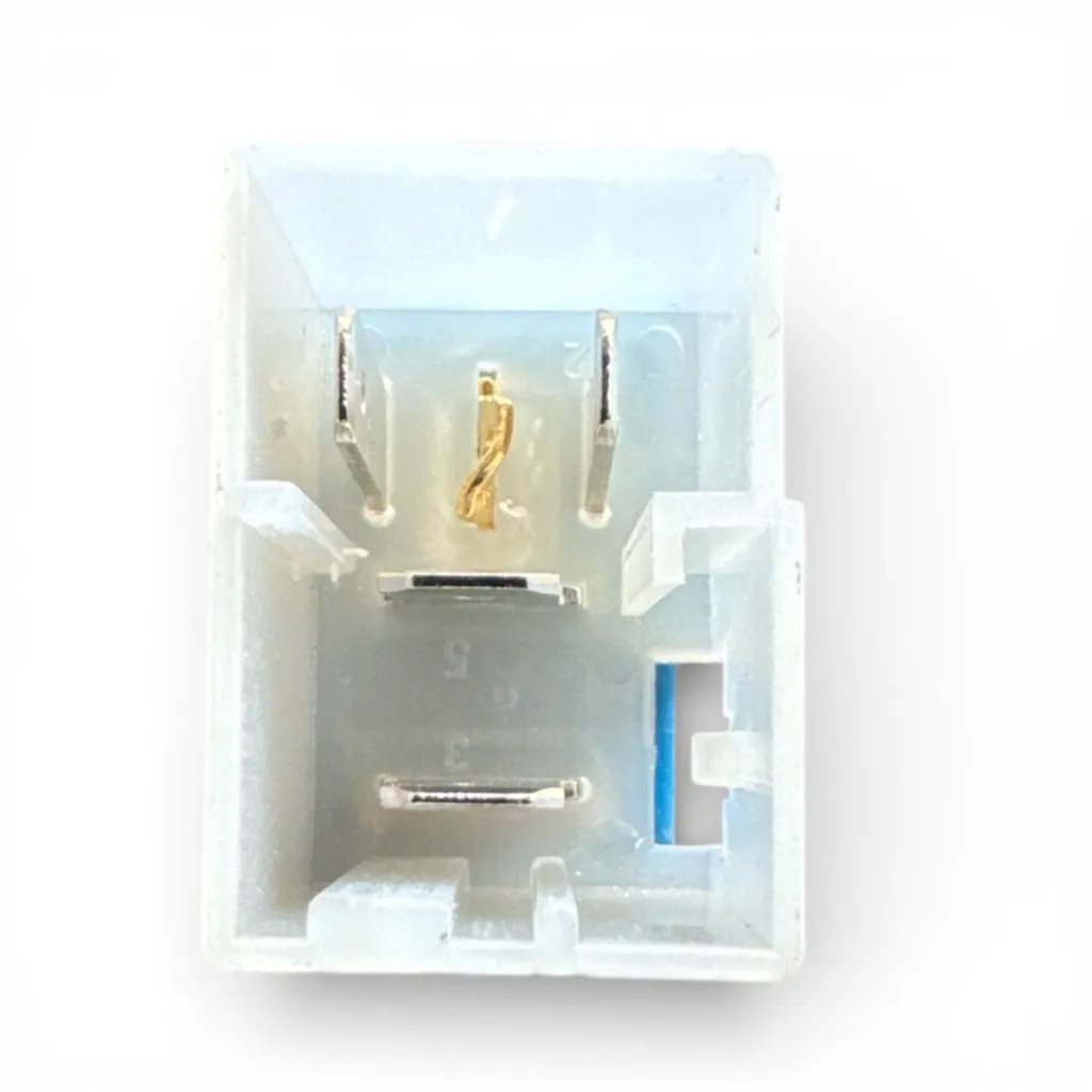 WhatsApp Image 2026-01-20 at 3.49.48 PM.webp