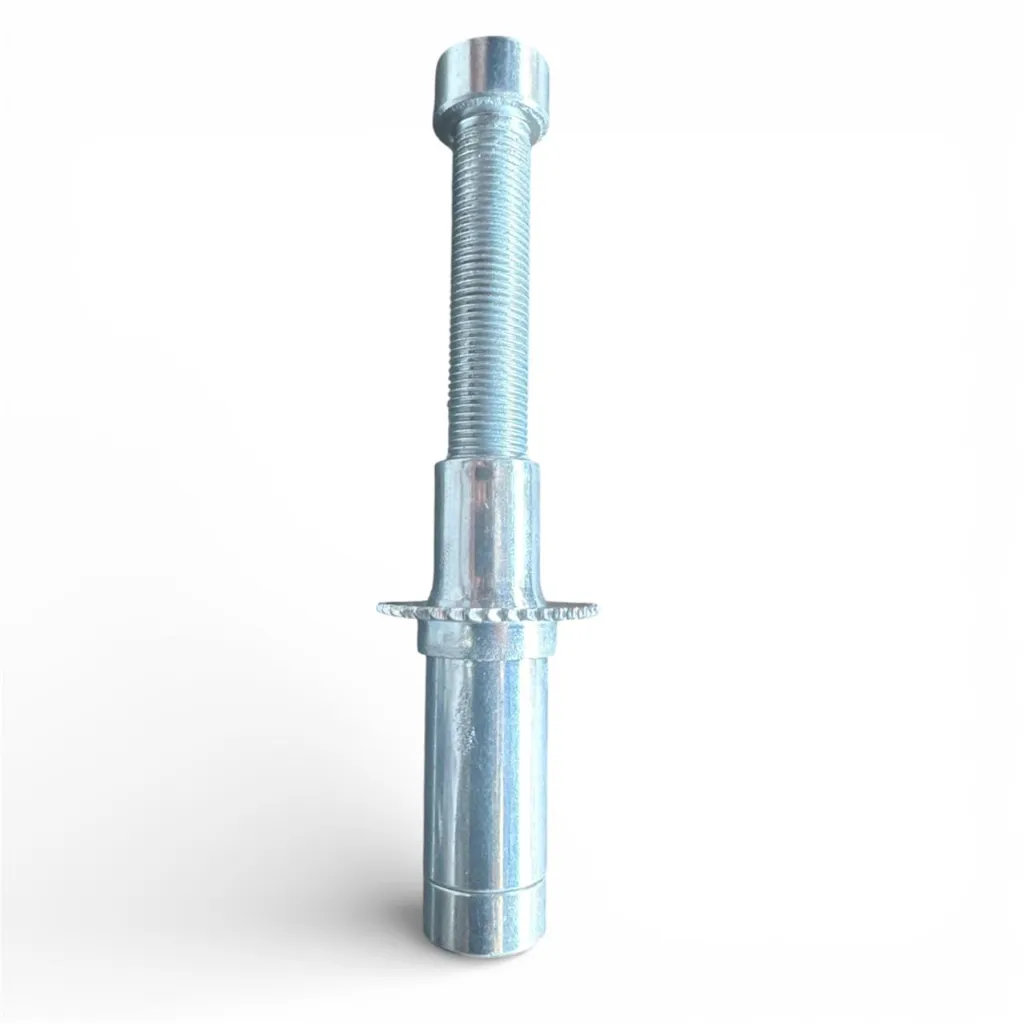 WhatsApp Image 2026-02-13 at 1.58.17 PM.webp