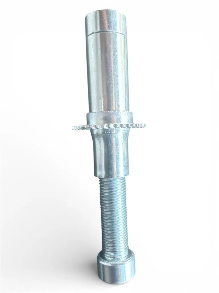 WhatsApp Image 2026-02-13 at 2.13.03 PM.webp