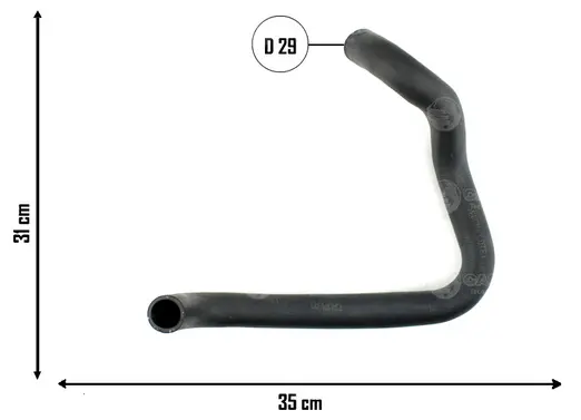 Captura desde 2025-11-07 13-29-46.webp