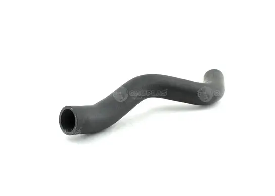 Captura desde 2025-11-08 10-48-42.webp