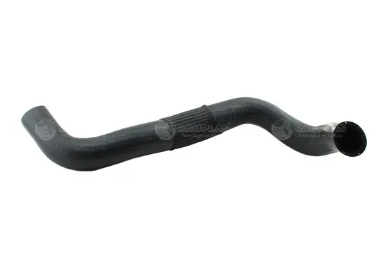 Captura desde 2025-11-08 11-47-28.webp