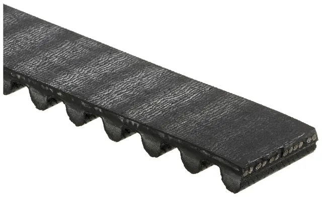 T203 Banda de Tiempo 85956203