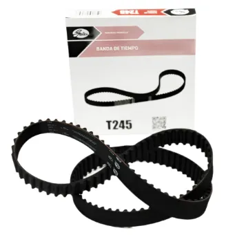 T245 - Banda de Tiempo para Chrysler Neon 94-05, Stratus 95-00 GATES