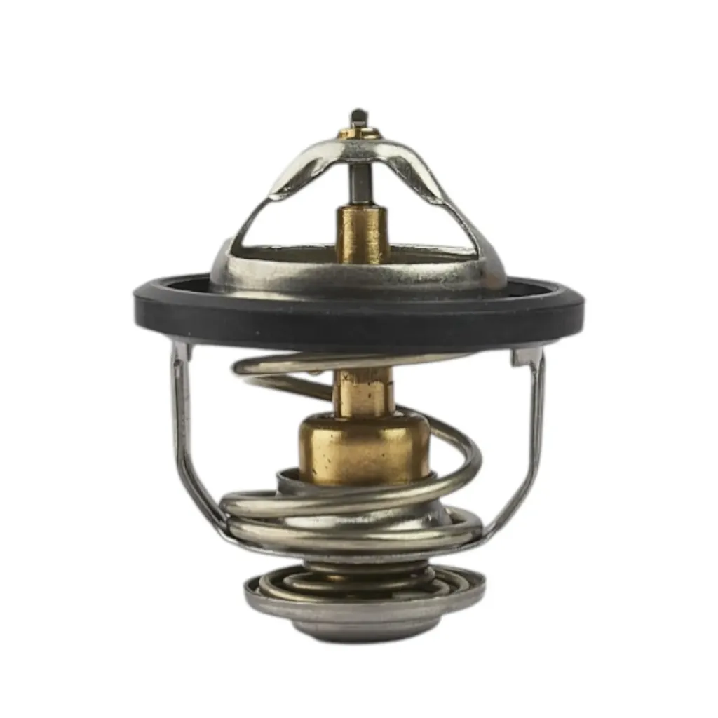 2120077A63 - Termostato Nissan Tsuru III en Bruck