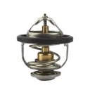 2120077A63 - Termostato Nissan Tsuru III en Bruck