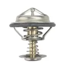 3S6G8575A2A - Termostato FIESTA IKON KA en Bruck