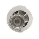 96872702 - P-1633 - Bomba de Agua Chevrolet G.M. Aveo 1.6 G3 07-09 19 Dientes en Bruck