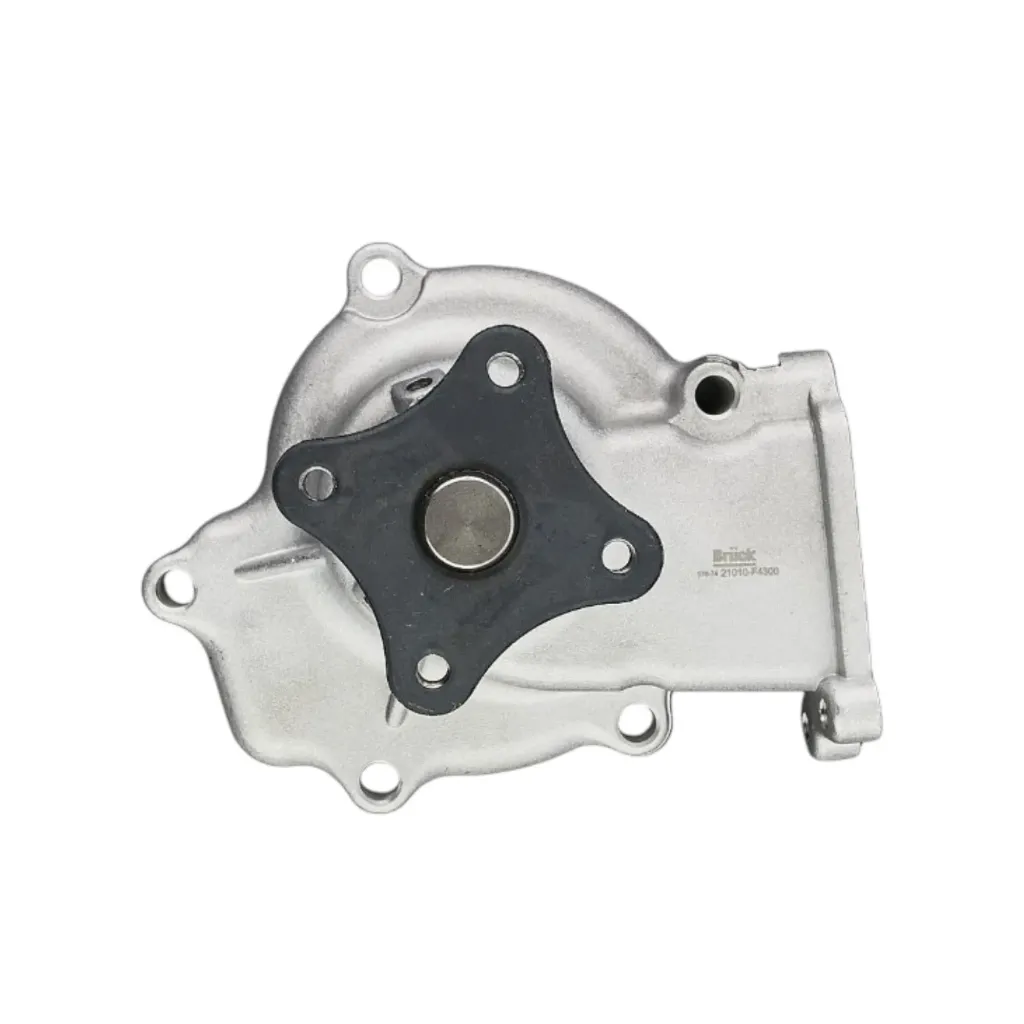 21010F4300 - Bomba de Agua para Tsuru III eq P-2198 en Bruck