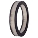 F-381A - Filtro de Aire Ford Autos y Camionetas V6 3.8L , 232 , V8 5.7 , 5.8L eq  SA-381 GA-74 en INTERFIL