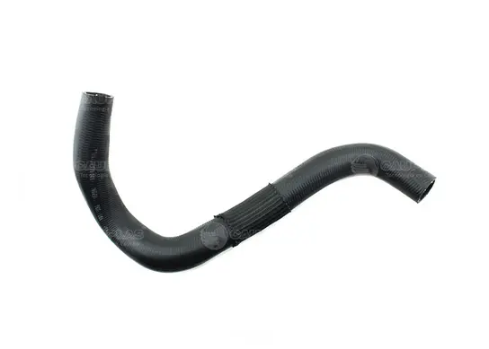 Manguera Inferior (KA24E), (3096) Nissan.